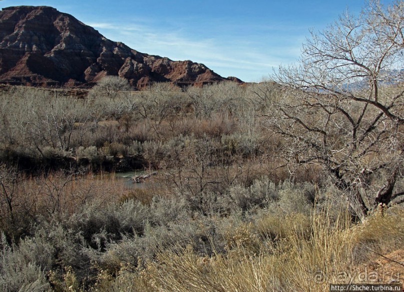 Спрингдэйл — ворота в национальный парк Зион