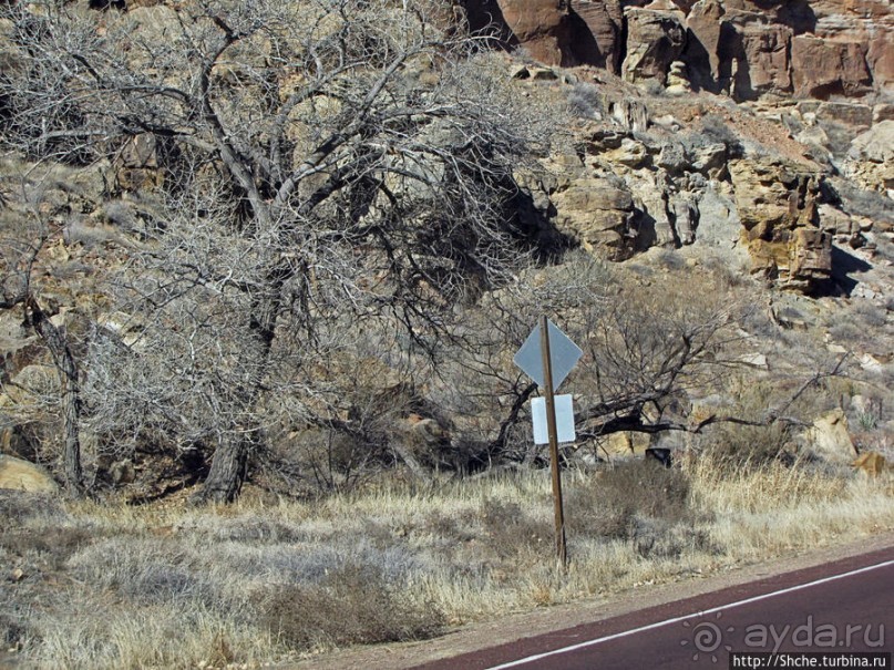 Спрингдэйл — ворота в национальный парк Зион
