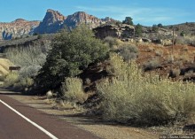 Спрингдэйл — ворота в национальный парк Зион