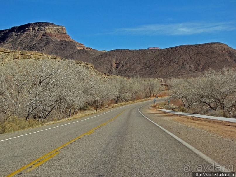 Альбом отзыва "Спрингдэйл — ворота в национальный парк Зион"