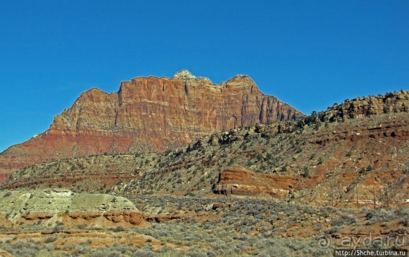 Спрингдэйл — ворота в национальный парк Зион