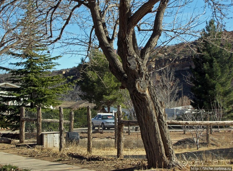 Спрингдэйл — ворота в национальный парк Зион