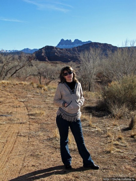 Альбом отзыва "Спрингдэйл — ворота в национальный парк Зион"