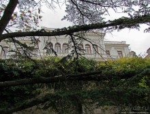 "Солнечная", она же "царская" тропа, она же"тропа здоровья"