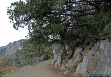 "Солнечная", она же "царская" тропа, она же"тропа здоровья"