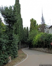 "Солнечная", она же "царская" тропа, она же"тропа здоровья"