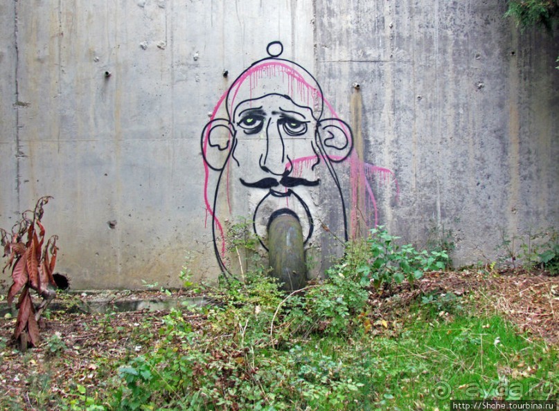 "Солнечная", она же "царская" тропа, она же"тропа здоровья"