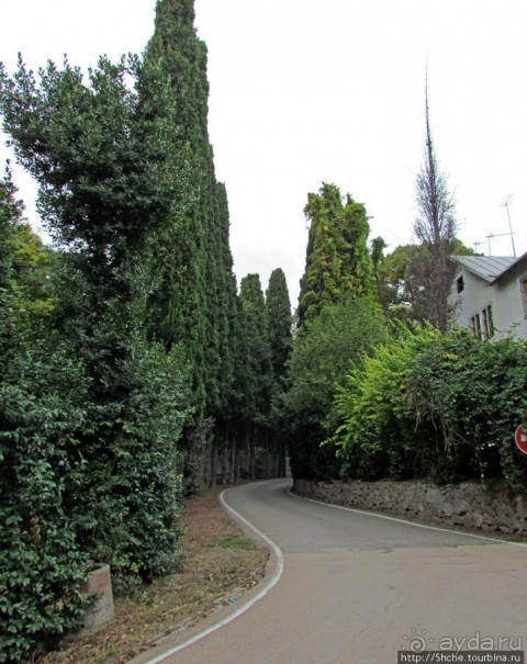 "Солнечная", она же "царская" тропа, она же"тропа здоровья"