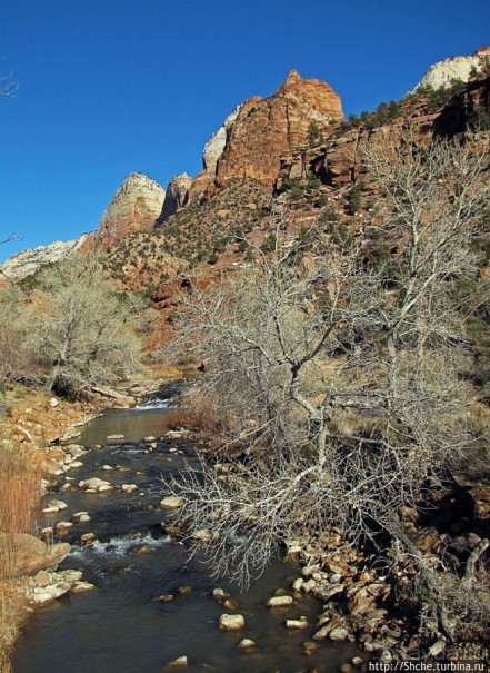 "А пока-пока-по камушкам" река North Fork Virgin River течет