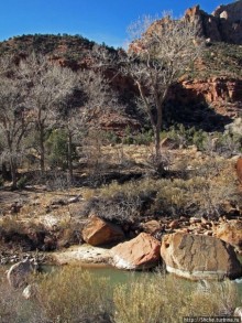 "А пока-пока-по камушкам" река North Fork Virgin River течет