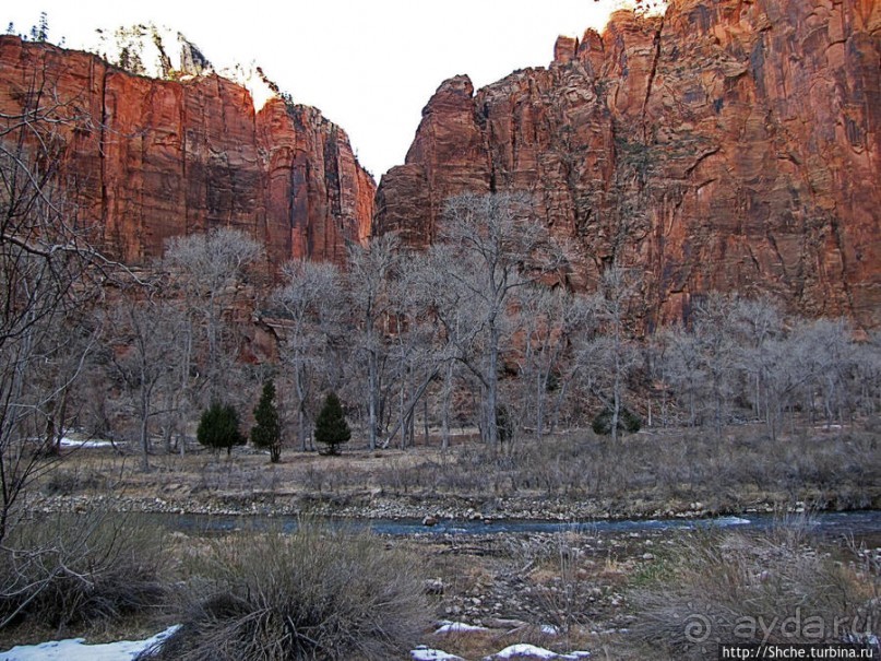 "А пока-пока-по камушкам" река North Fork Virgin River течет