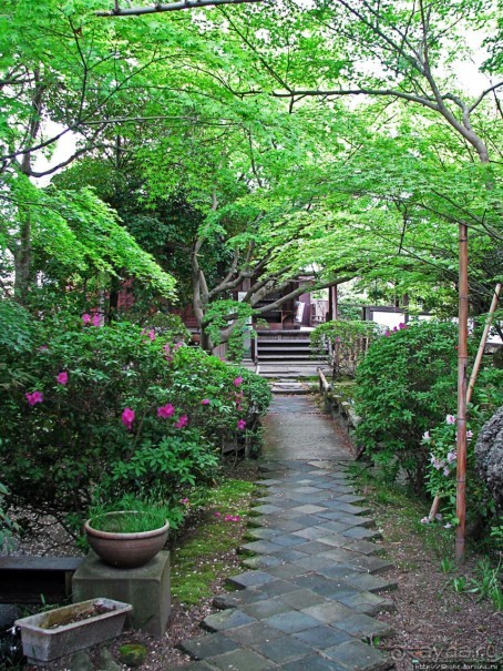 Еще один древний (8 век) храм медицины в Наре