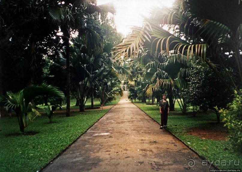 Танцующий бес памяти