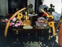 Танцующий бес памяти