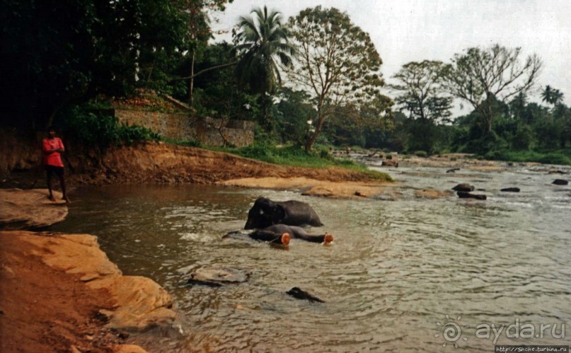 Танцующий бес памяти