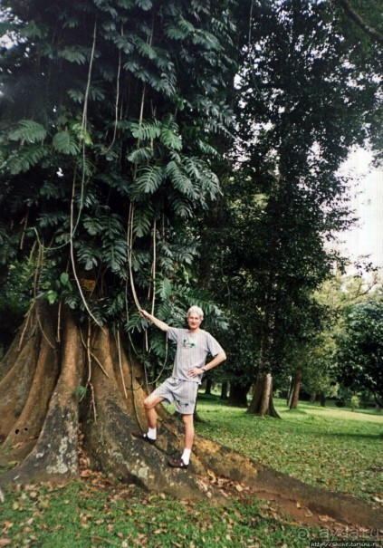 Танцующий бес памяти