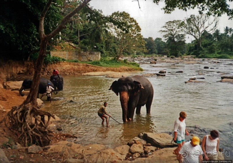 Танцующий бес памяти