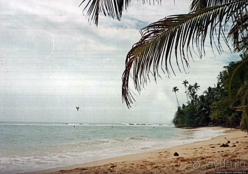 Танцующий бес памяти