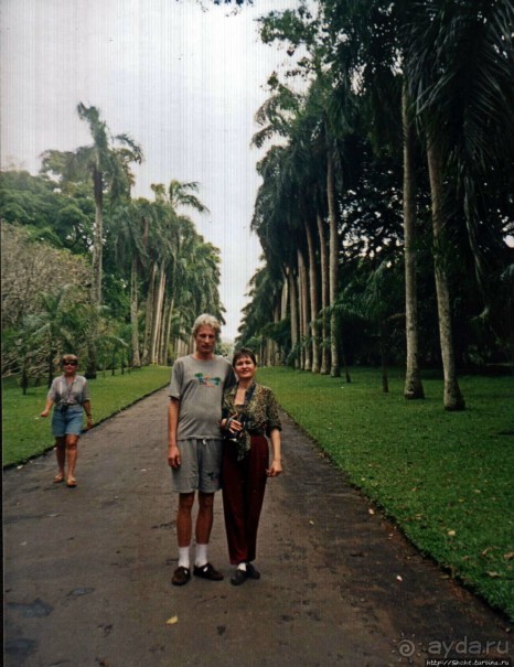 Танцующий бес памяти