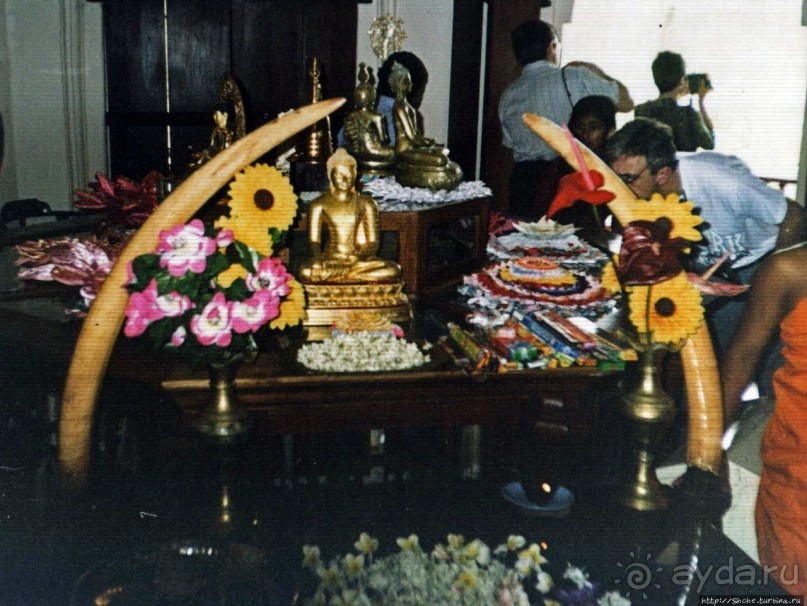 Танцующий бес памяти