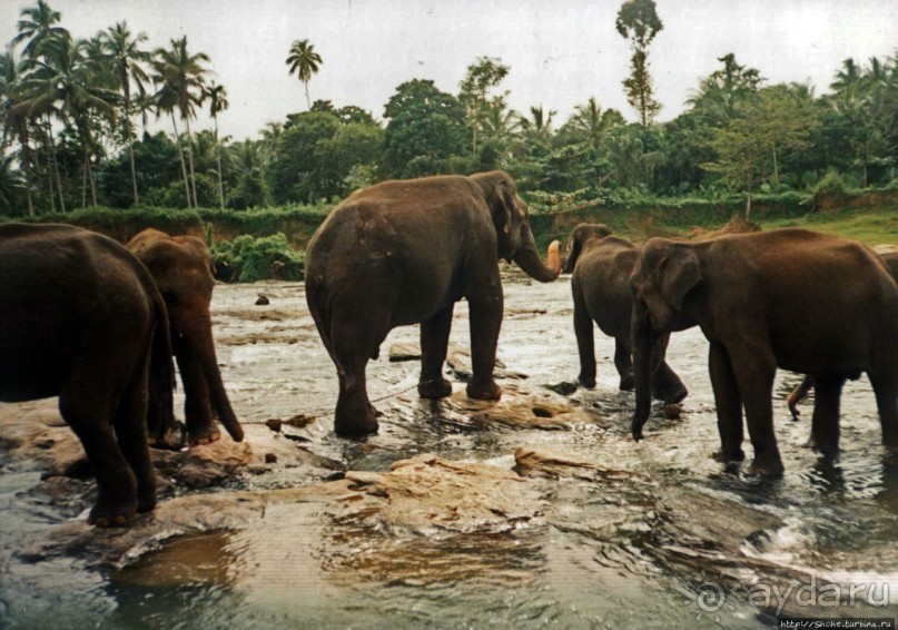 Танцующий бес памяти