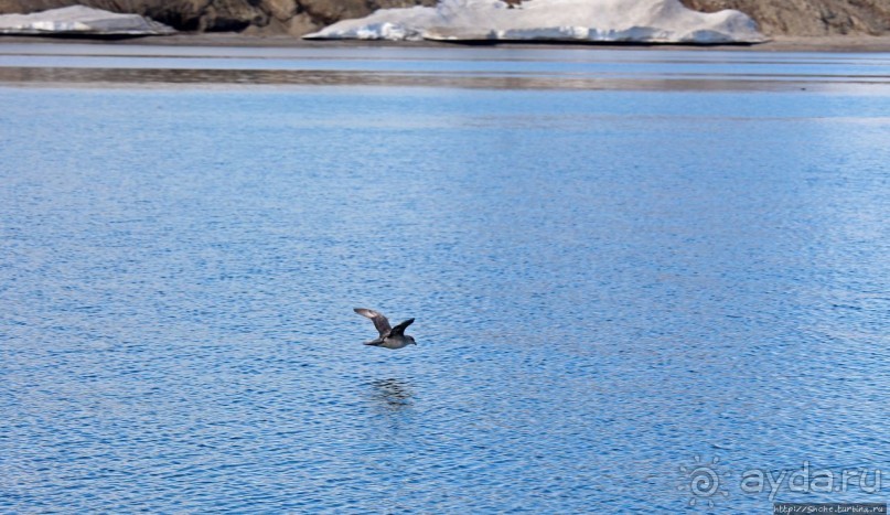 Заполярная Кин-Дза-Дза, или эстетика жесткого индустриализма