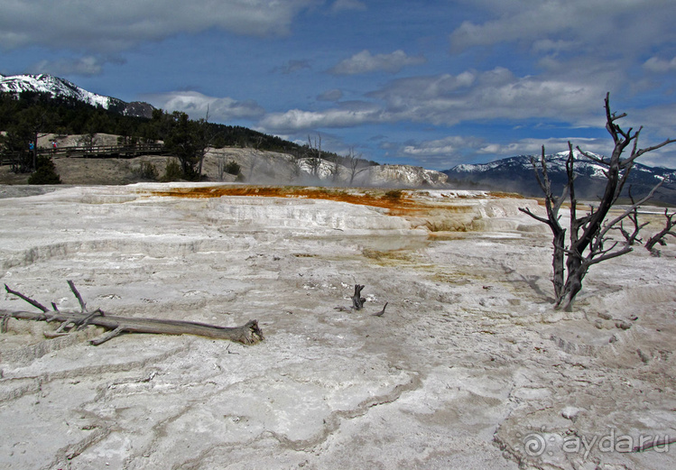 Террасы Мамонтовых горячих источников (Mammoth Hot Spring)