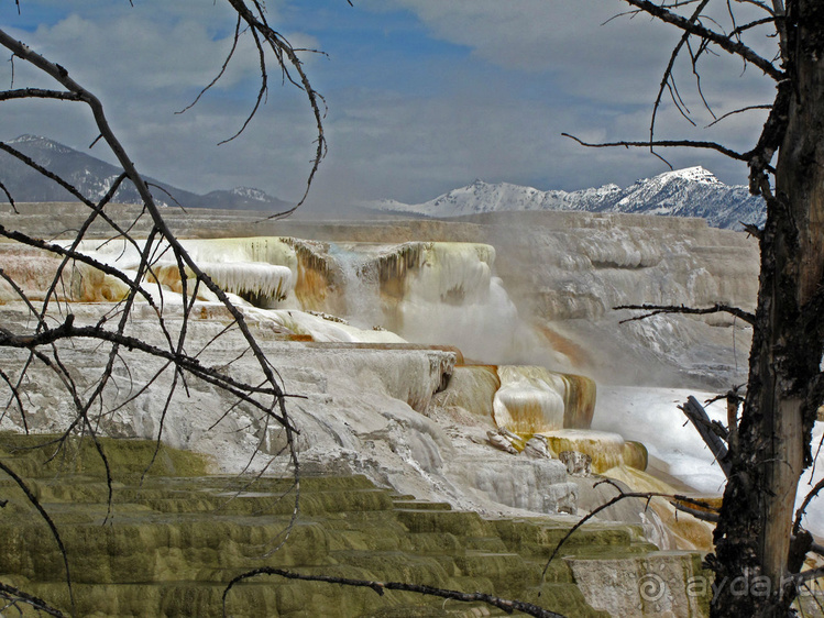 Террасы Мамонтовых горячих источников (Mammoth Hot Spring)