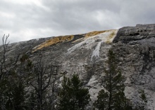 Террасы Мамонтовых горячих источников (Mammoth Hot Spring)
