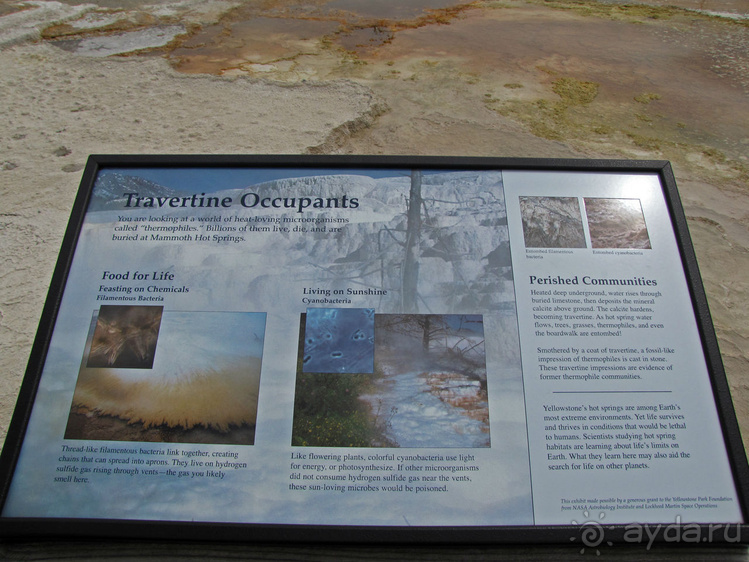 Террасы Мамонтовых горячих источников (Mammoth Hot Spring)