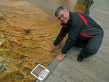 Террасы Мамонтовых горячих источников (Mammoth Hot Spring)