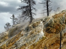 Террасы Мамонтовых горячих источников (Mammoth Hot Spring)