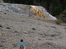 Террасы Мамонтовых горячих источников (Mammoth Hot Spring)