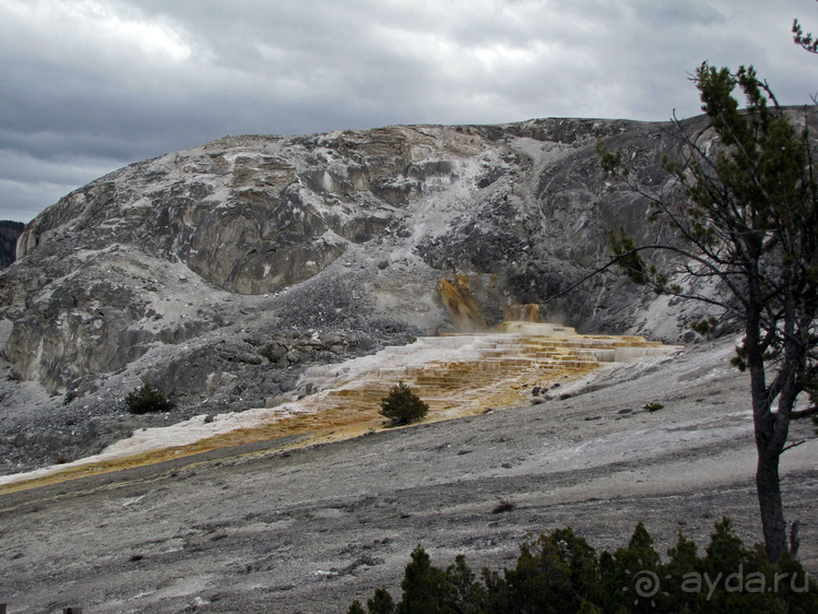 Террасы Мамонтовых горячих источников (Mammoth Hot Spring)