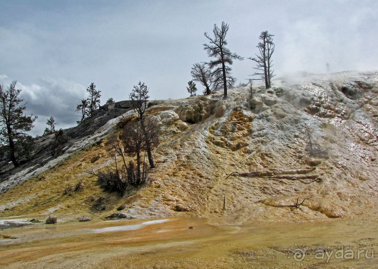 Террасы Мамонтовых горячих источников (Mammoth Hot Spring)