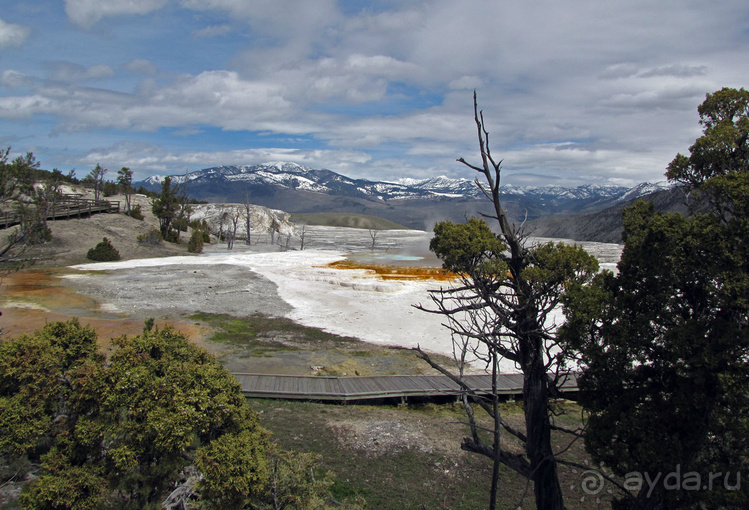 Террасы Мамонтовых горячих источников (Mammoth Hot Spring)