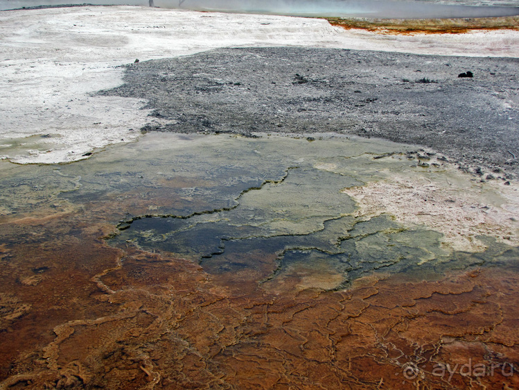 Террасы Мамонтовых горячих источников (Mammoth Hot Spring)