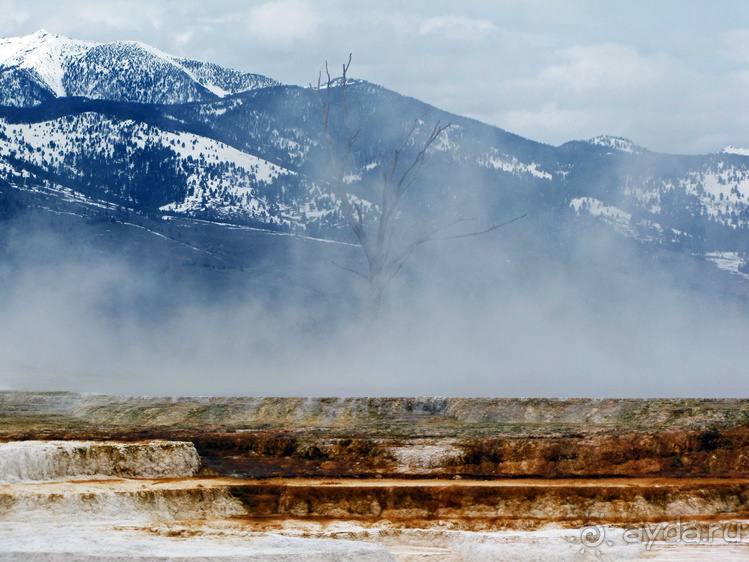 Террасы Мамонтовых горячих источников (Mammoth Hot Spring)