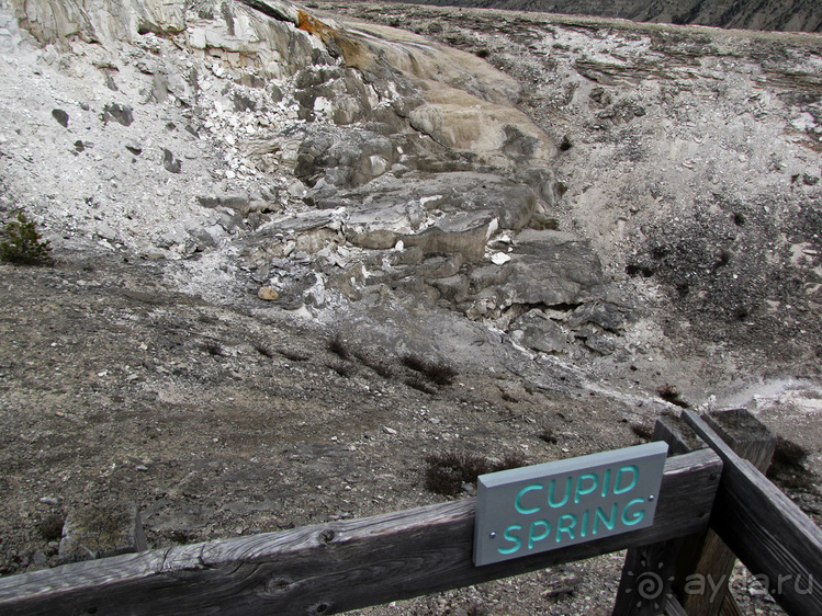 Террасы Мамонтовых горячих источников (Mammoth Hot Spring)