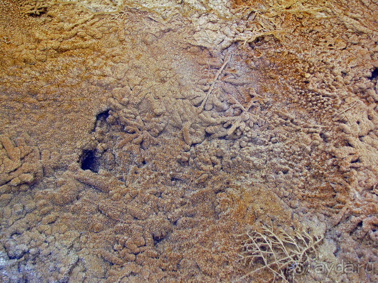 Террасы Мамонтовых горячих источников (Mammoth Hot Spring)