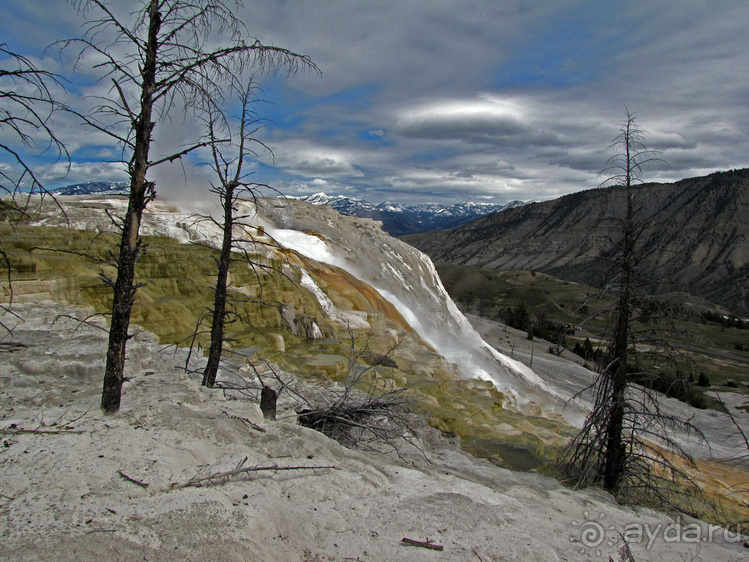 Террасы Мамонтовых горячих источников (Mammoth Hot Spring)