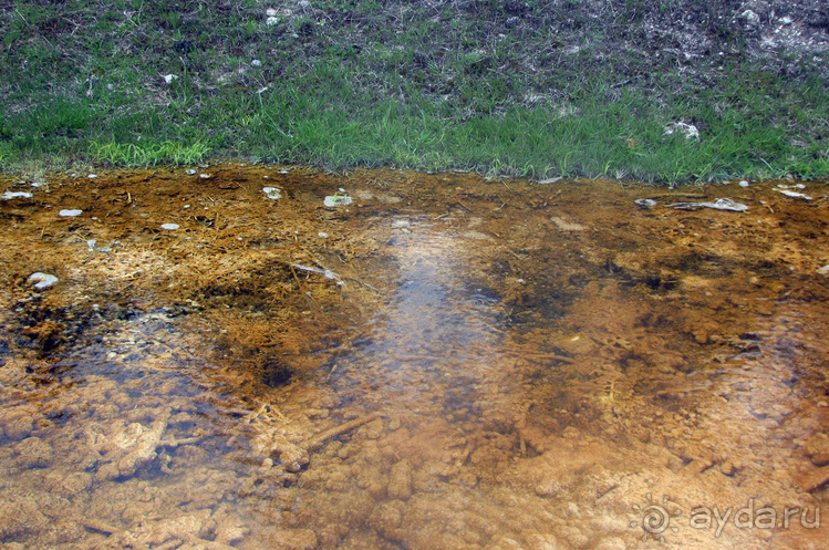 Террасы Мамонтовых горячих источников (Mammoth Hot Spring)