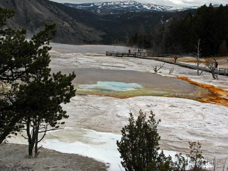 Террасы Мамонтовых горячих источников (Mammoth Hot Spring)