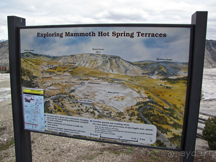 Террасы Мамонтовых горячих источников (Mammoth Hot Spring)