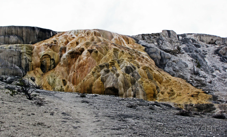 Террасы Мамонтовых горячих источников (Mammoth Hot Spring)
