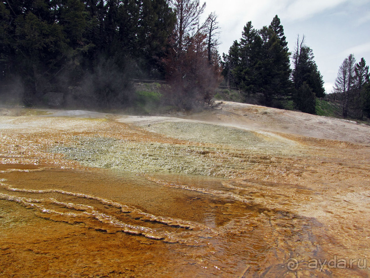 Террасы Мамонтовых горячих источников (Mammoth Hot Spring)