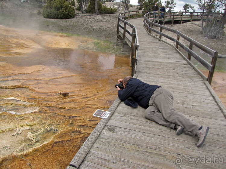 Террасы Мамонтовых горячих источников (Mammoth Hot Spring)