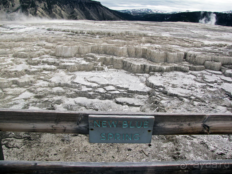 Террасы Мамонтовых горячих источников (Mammoth Hot Spring)