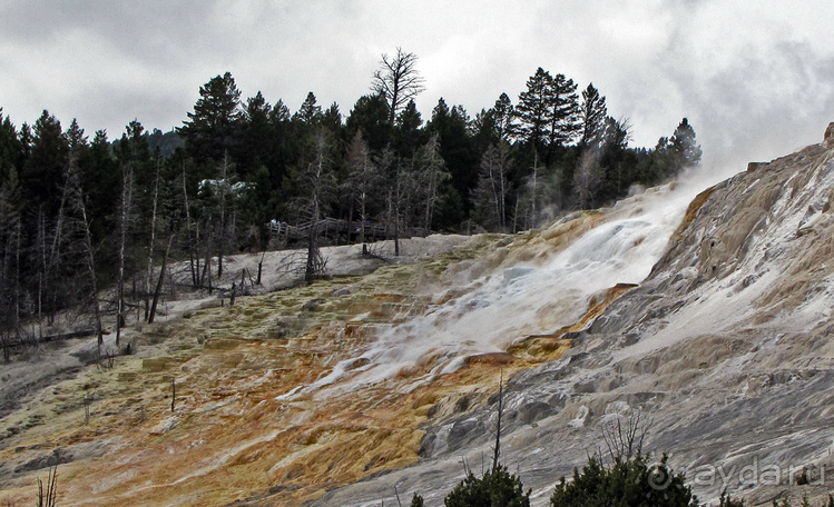 Террасы Мамонтовых горячих источников (Mammoth Hot Spring)