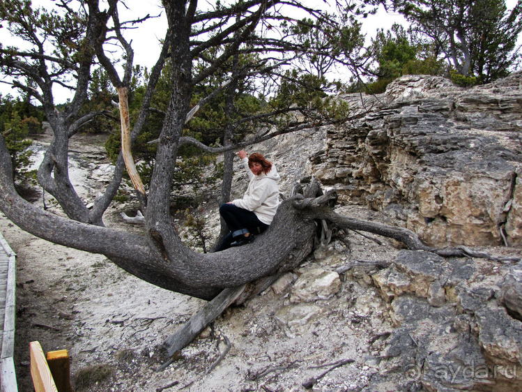 Террасы Мамонтовых горячих источников (Mammoth Hot Spring)